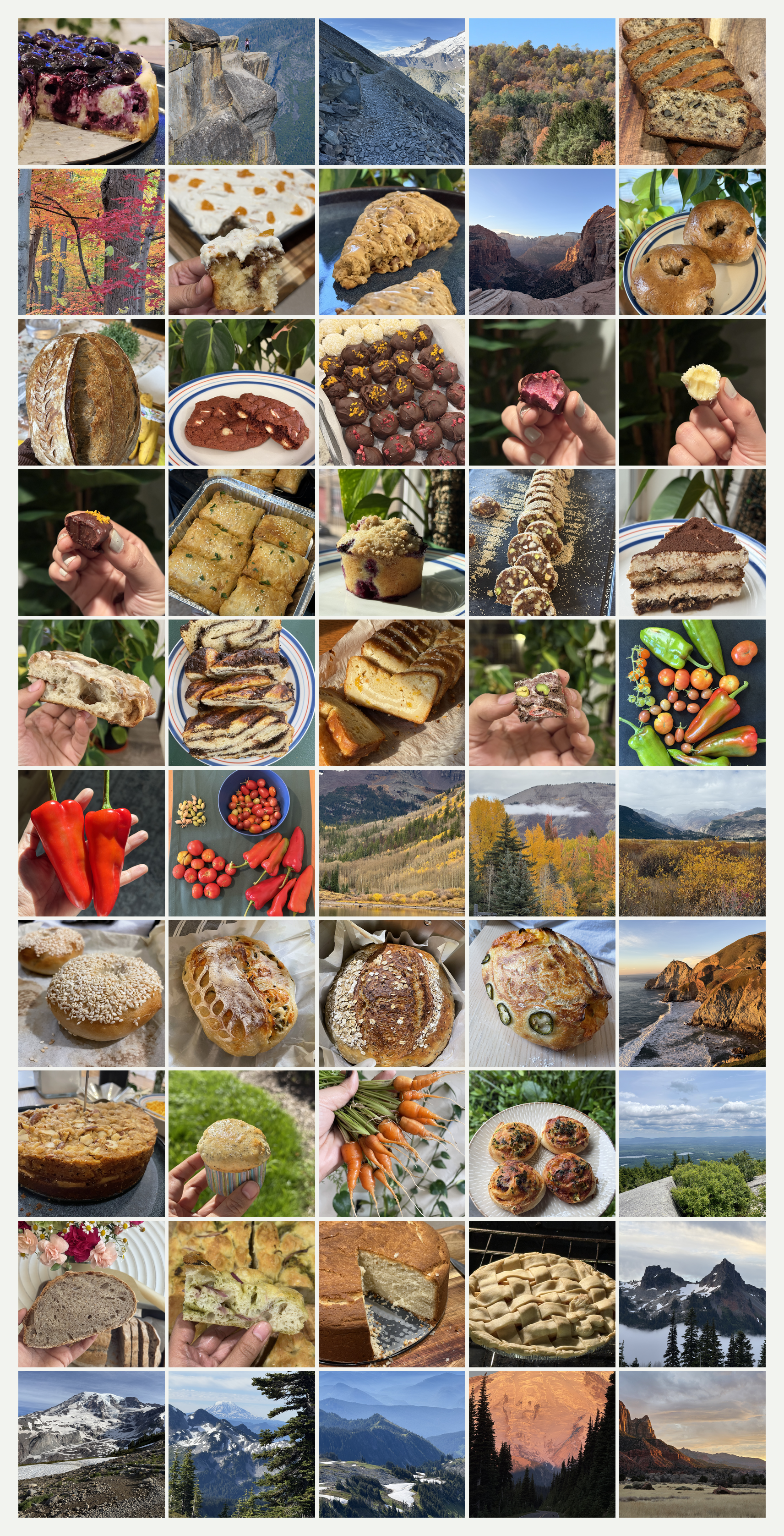 A grid of photos from hiking, baking, and plants